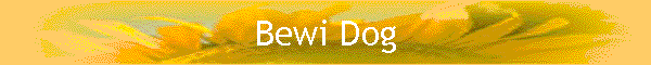 Bewi Dog