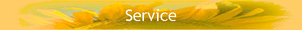 Service